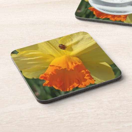 Ladybug auf gelber affodischer Ebene Getränkeuntersetzer (Linke Seite)