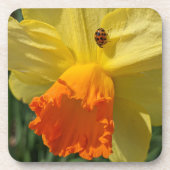 Ladybug auf gelber affodischer Ebene Getränkeuntersetzer (Vorderseite)