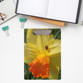 Ladybug auf gelber affodischer Ebene Klemmbrett