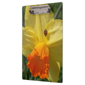 Ladybug auf gelber affodischer Ebene Klemmbrett (Links)