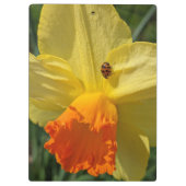 Ladybug auf gelber affodischer Ebene Klemmbrett (Rückseite)
