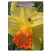Ladybug auf gelber affodischer Ebene Klemmbrett (Vorderseite)