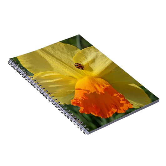 Ladybug auf gelber affodischer Ebene Notizblock (Rechte Seite)