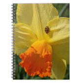 Ladybug auf gelber affodischer Ebene Notizblock (Vorderseite)