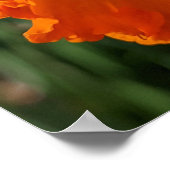 Ladybug auf gelber affodischer Ebene Poster (Ecke)