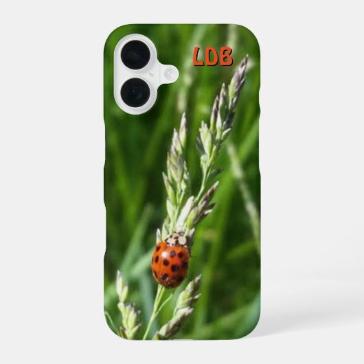 Ladybug auf Gras iPhone 16 Hülle (Rückseite)