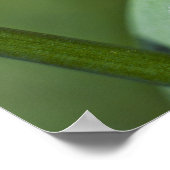 Ladybug auf Gras nah Poster (Ecke)