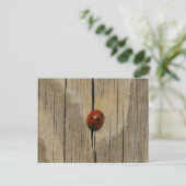 Ladybug auf Holz Postkarte (Stehend Vorderseite)
