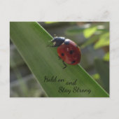 Ladybug auf Leaf halten und starke Postkarte Bleib (Vorderseite)