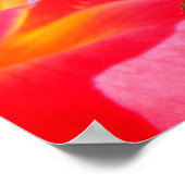 Ladybug auf Rose Poster (Ecke)