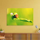 Ladybug auf Sprig Leinwanddruck (Insitu (Wohnzimmer))