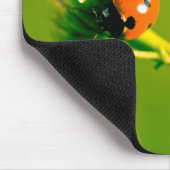 Ladybug auf Sprig Mousepad (Ecke)