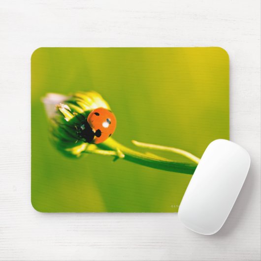 Ladybug auf Sprig Mousepad (Mit Mouse)