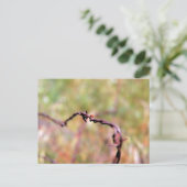 Ladybug auf Stacheldraht. Postkarte (Stehend Vorderseite)