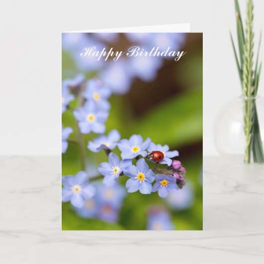 Ladybug auf Vergessen-me-not-Birthday Card Karte (Vorderseite)
