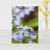 Ladybug auf Vergessen-me-not-Birthday Card Karte (Gelbe Blume)