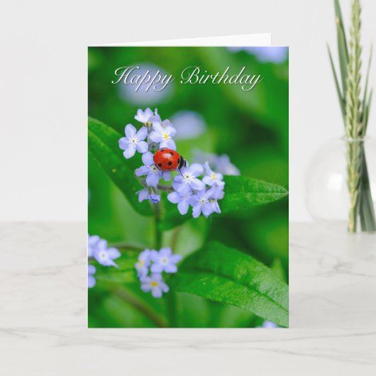 Ladybug auf Vergessen-me-not-Birthday Card Karte (Vorderseite)