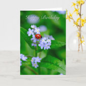 Ladybug auf Vergessen-me-not-Birthday Card Karte (Gelbe Blume)