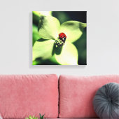 Ladybug auf weißer Dogwood-Blume Nah Leinwanddruck (Insitu (Wohnzimmer))