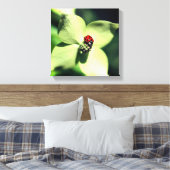 Ladybug auf weißer Dogwood-Blume Nah Leinwanddruck (Insitu (Schlafzimmer))