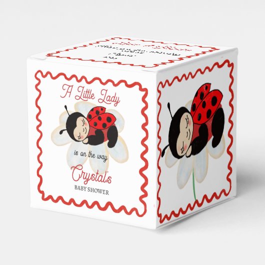 Ladybug Babydusche bevorzugt personalisiert Geschenkschachtel (Vorderseite)