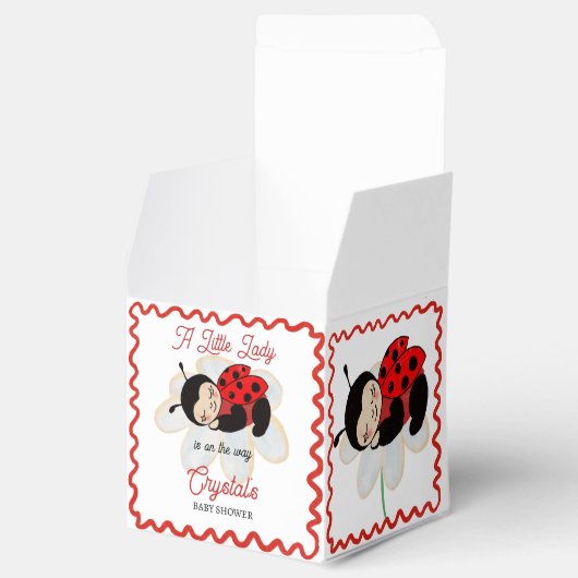 Ladybug Babydusche bevorzugt personalisiert Geschenkschachtel (Geöffnet)