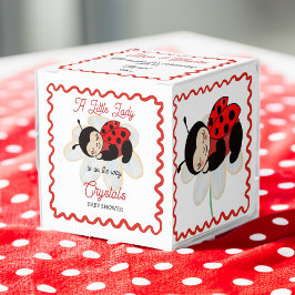 Ladybug Babydusche bevorzugt personalisiert Geschenkschachtel