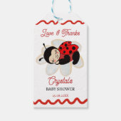 Ladybug Babydusche Geschenkanhänger (Vorderseite)