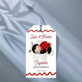 Ladybug Babydusche Geschenkanhänger