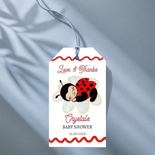 Ladybug Babydusche Geschenkanhänger