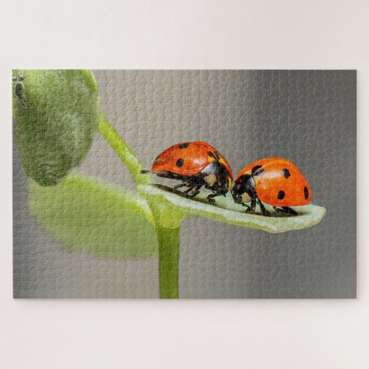 Ladybug Beetles Puzzle (Horizontal)
