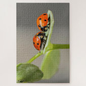 Ladybug Beetles Puzzle (Vertikal)