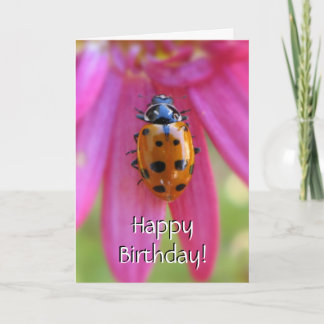 Ladybug Birthday Card Karte