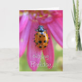 Ladybug Birthday Card Karte (Vorderseite)