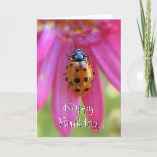 Ladybug Birthday Card Karte (Vorderseite)