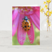 Ladybug Birthday Card Karte (Gelbe Blume)