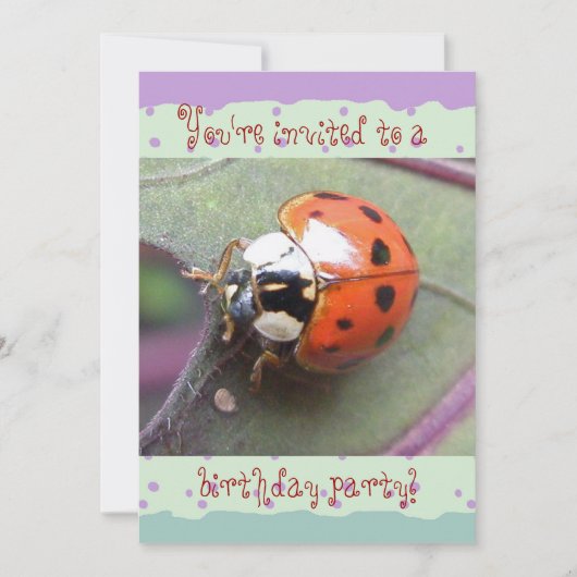 Ladybug Birthday Einladung (Vorderseite)