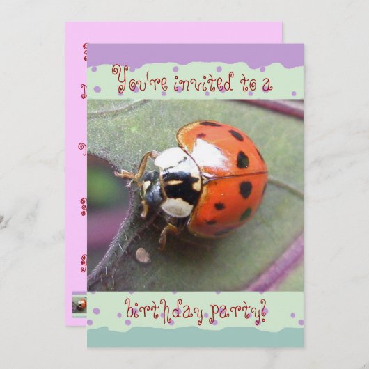 Ladybug Birthday Einladung (Vorne/Hinten)