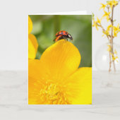 Ladybug Blank Grußkarte Karte (Gelbe Blume)