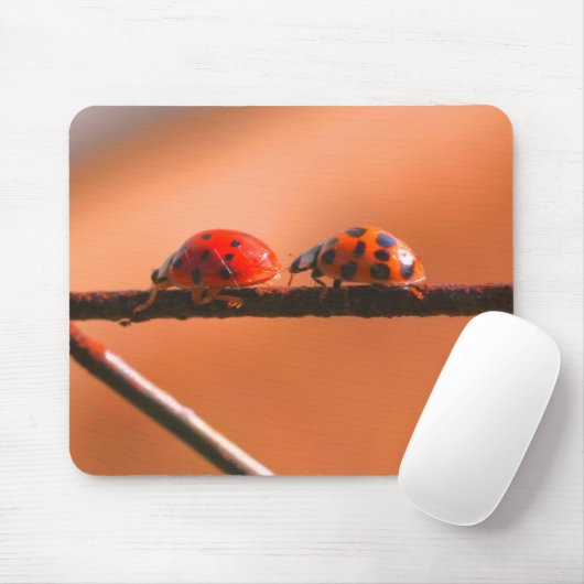 Ladybug Buddies Nature Mousepad (Mit Mouse)