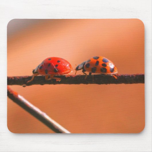 Ladybug Buddies Nature Mousepad (Vorne)