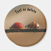 Ladybug Buddies Nature Personalisiert Magnet (Vorne)