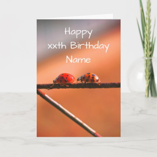Ladybug Buddies Nature Personalisierter Geburtstag Karte (Vorderseite)