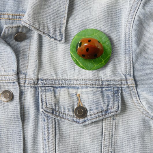 Ladybug Button (Beispiel)