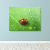 Ladybug Canvas Print Leinwanddruck (Insitu (Holzboden))