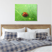 Ladybug Canvas Print Leinwanddruck (Insitu (Schlafzimmer))