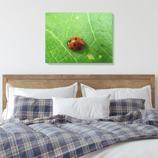 Ladybug Canvas Print Leinwanddruck (Insitu (Schlafzimmer))