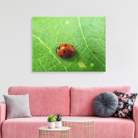 Ladybug Canvas Print Leinwanddruck (Insitu (Wohnzimmer))