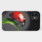 Ladybug Case-Mate iPhone Hülle (Rückseite (Horizontal))