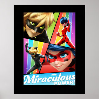 Ladybug & Cat Noir | Wunderbarer Power! Poster